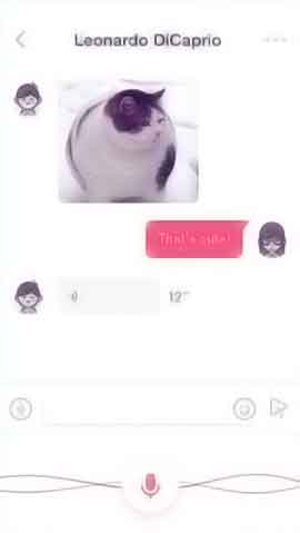 网页DDOS攻击平台软件程序维护界面